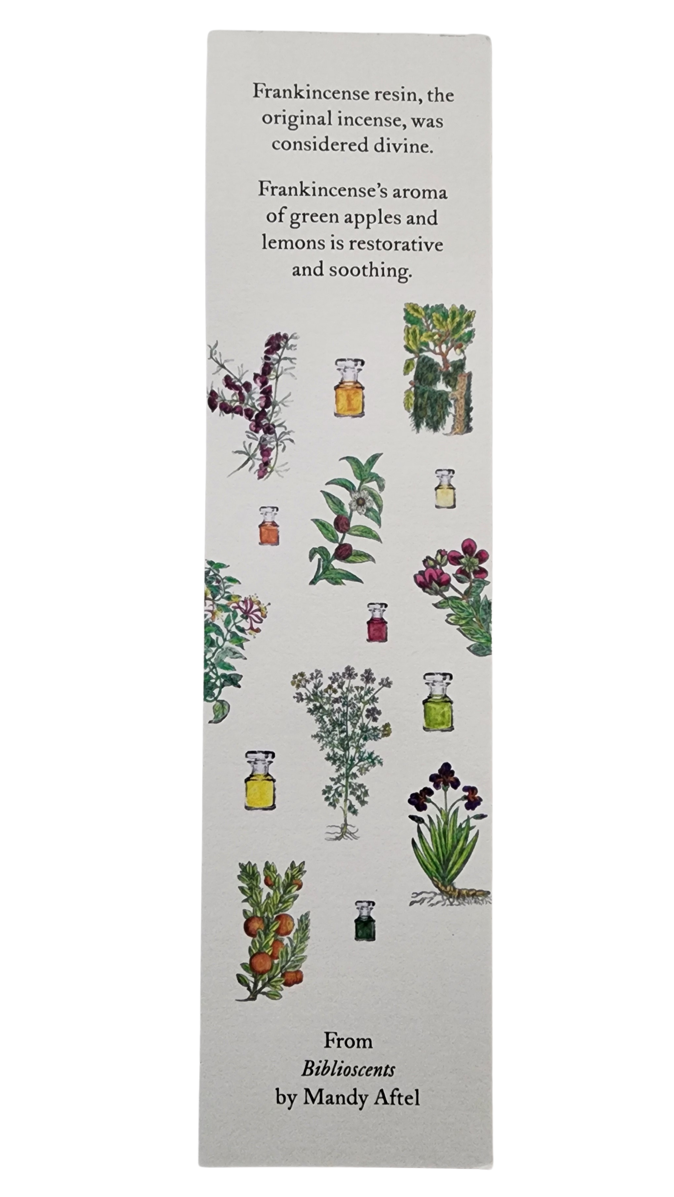 Biblioscents Frankincense Scented Bookmark by Natural Perfumer Mandy Aftel of Aftelier Perfumes