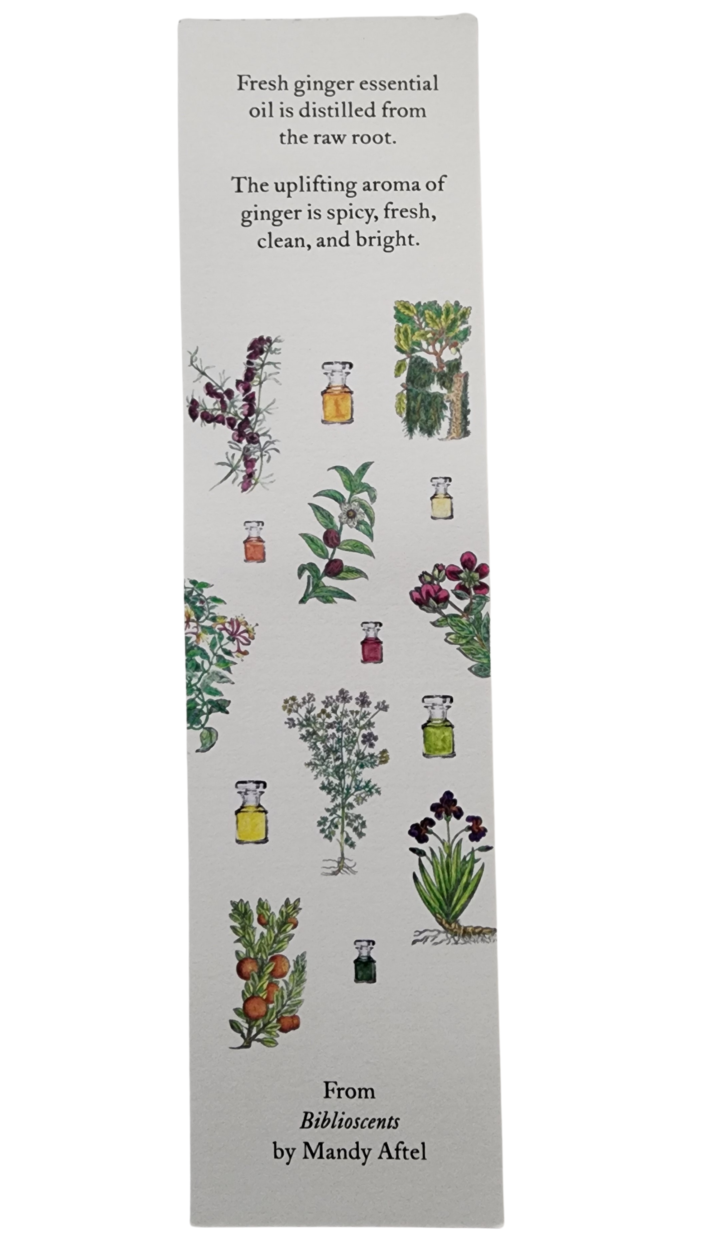 Biblioscents Ginger Scented Bookmark by Natural Perfumer Mandy Aftel of Aftelier Perfumes