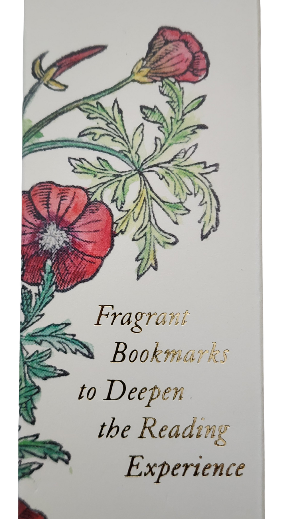 Biblioscents Set of 4 Frankincense, Ginger, Vetiver, Geranium Scented Bookmarks