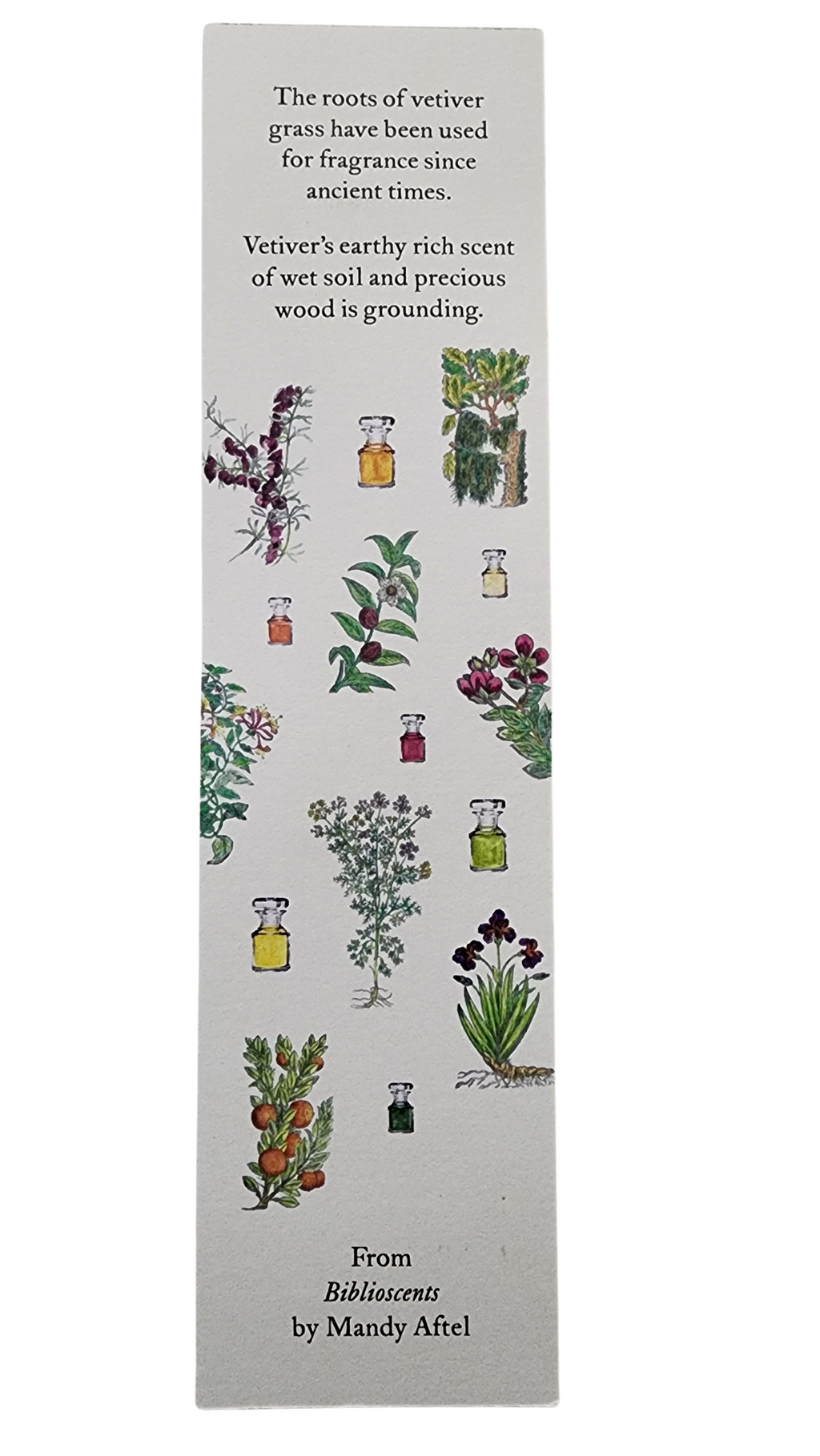 Biblioscents Vetiver Scented Bookmark by Natural Perfumer Mandy Aftel of Aftelier Perfumes