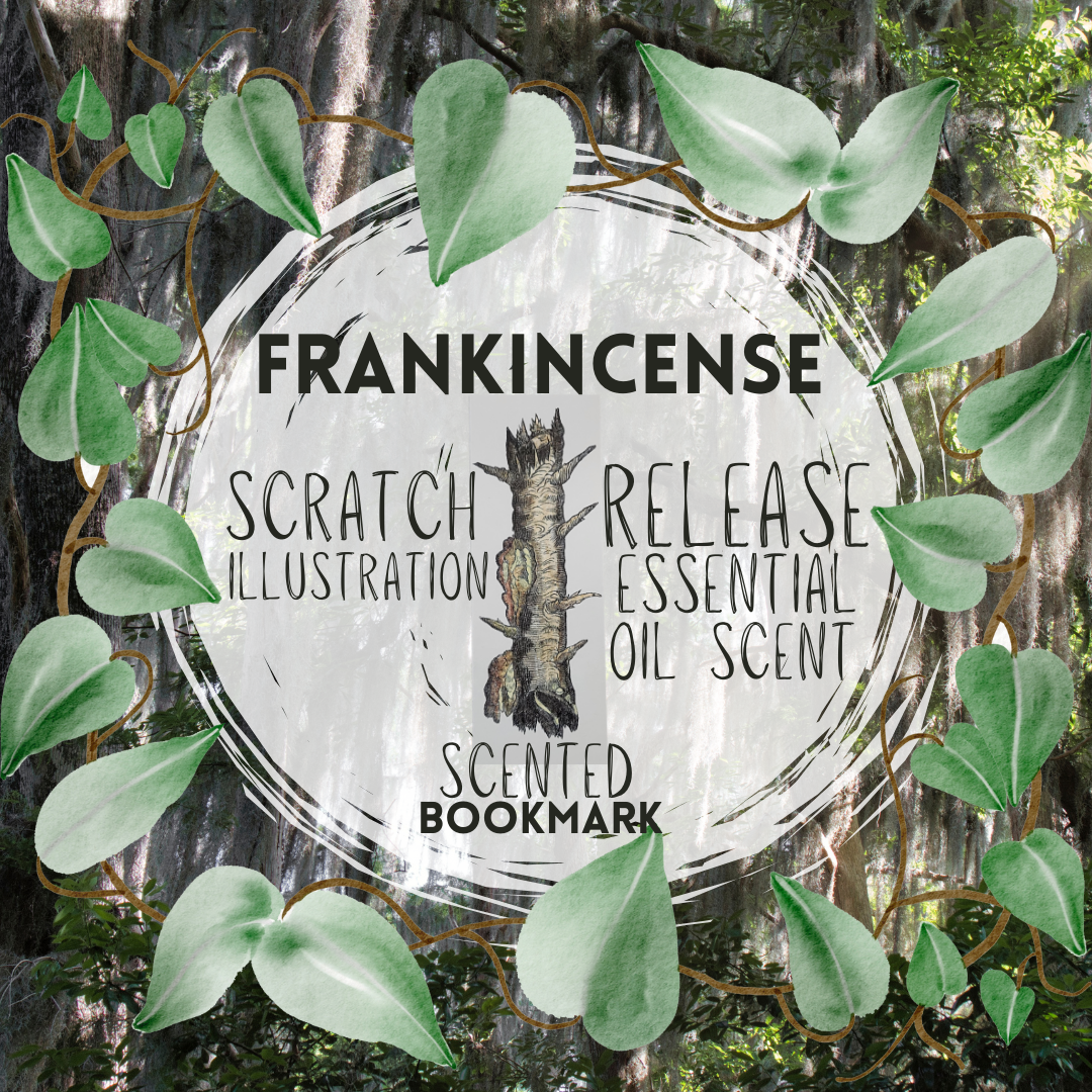 Biblioscents Frankincense Scented Bookmark by Natural Perfumer Mandy Aftel of Aftelier Perfumes