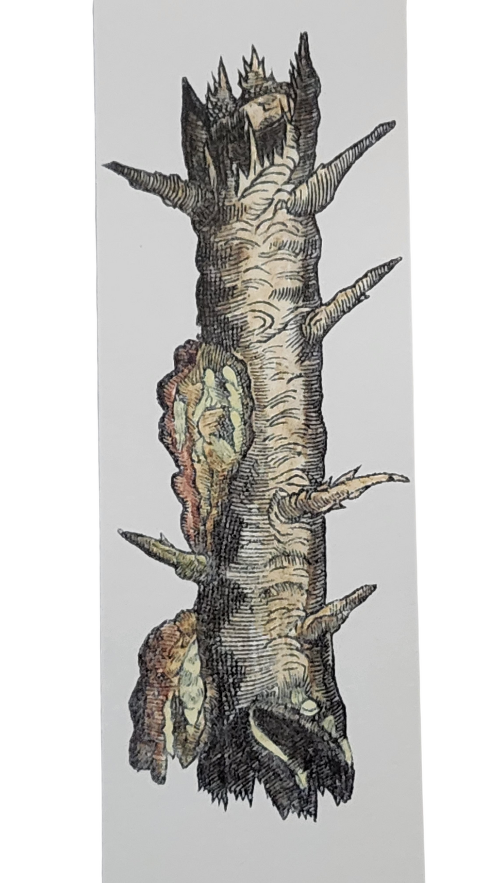 Biblioscents Frankincense Scented Bookmark by Natural Perfumer Mandy Aftel of Aftelier Perfumes
