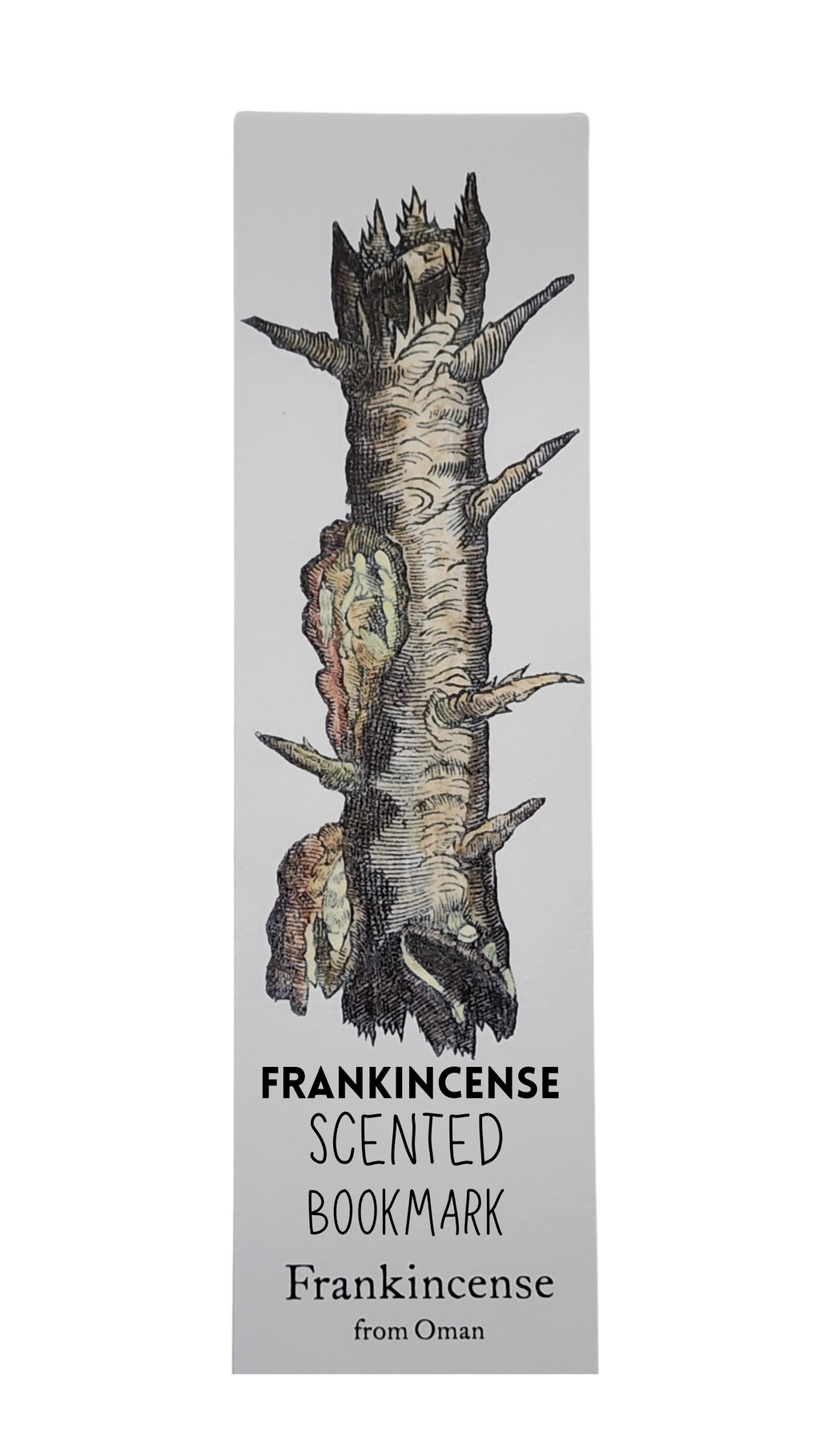 Biblioscents Frankincense Scented Bookmark by Natural Perfumer Mandy Aftel of Aftelier Perfumes