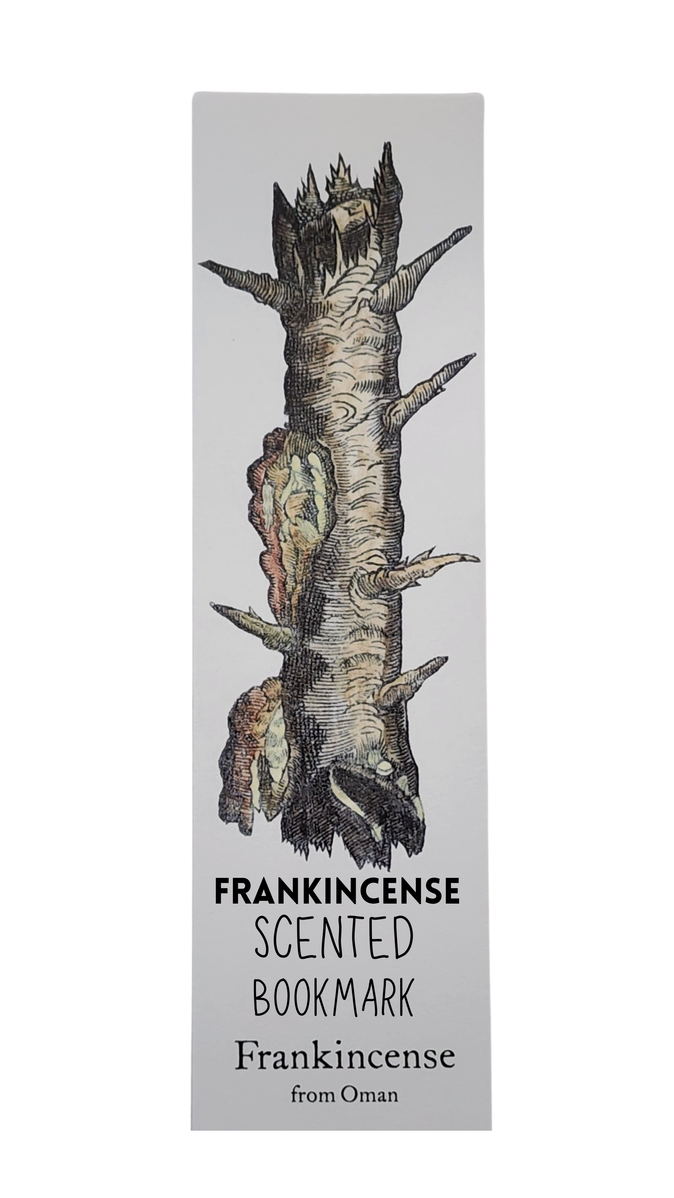 Biblioscents Frankincense Scented Bookmark by Natural Perfumer Mandy Aftel of Aftelier Perfumes