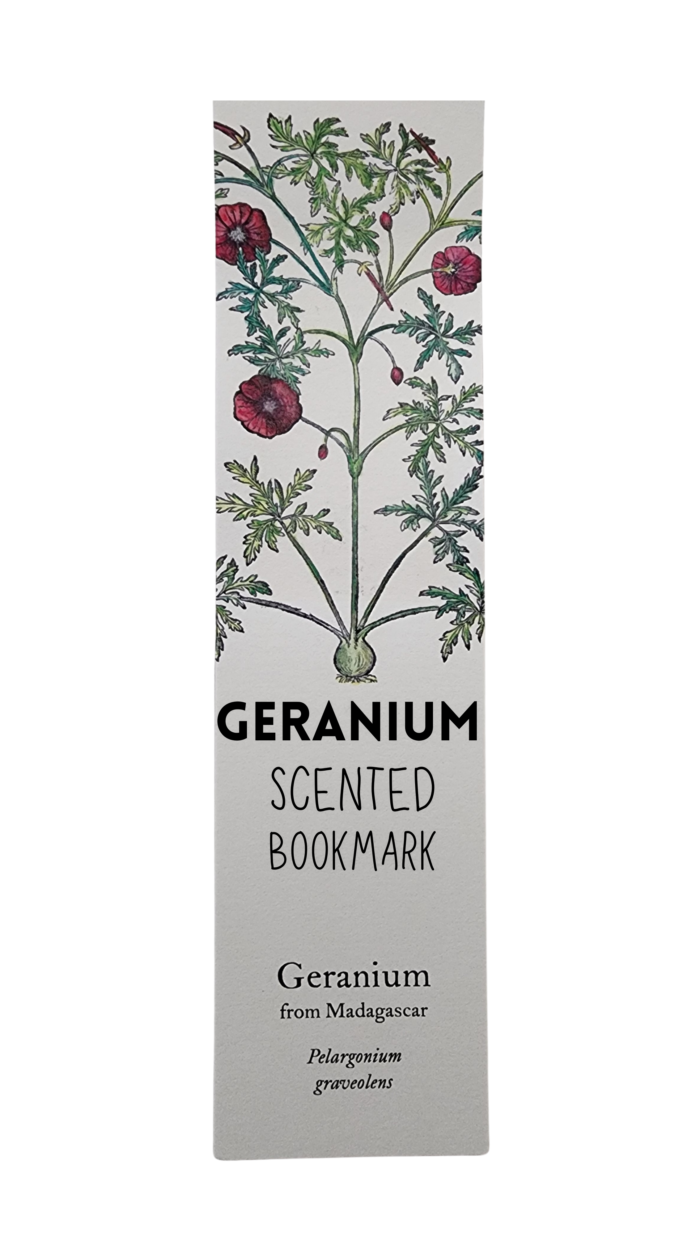 Biblioscents Geranium Scented Bookmark by Natural Perfumer Mandy Aftel of Aftelier Perfumes