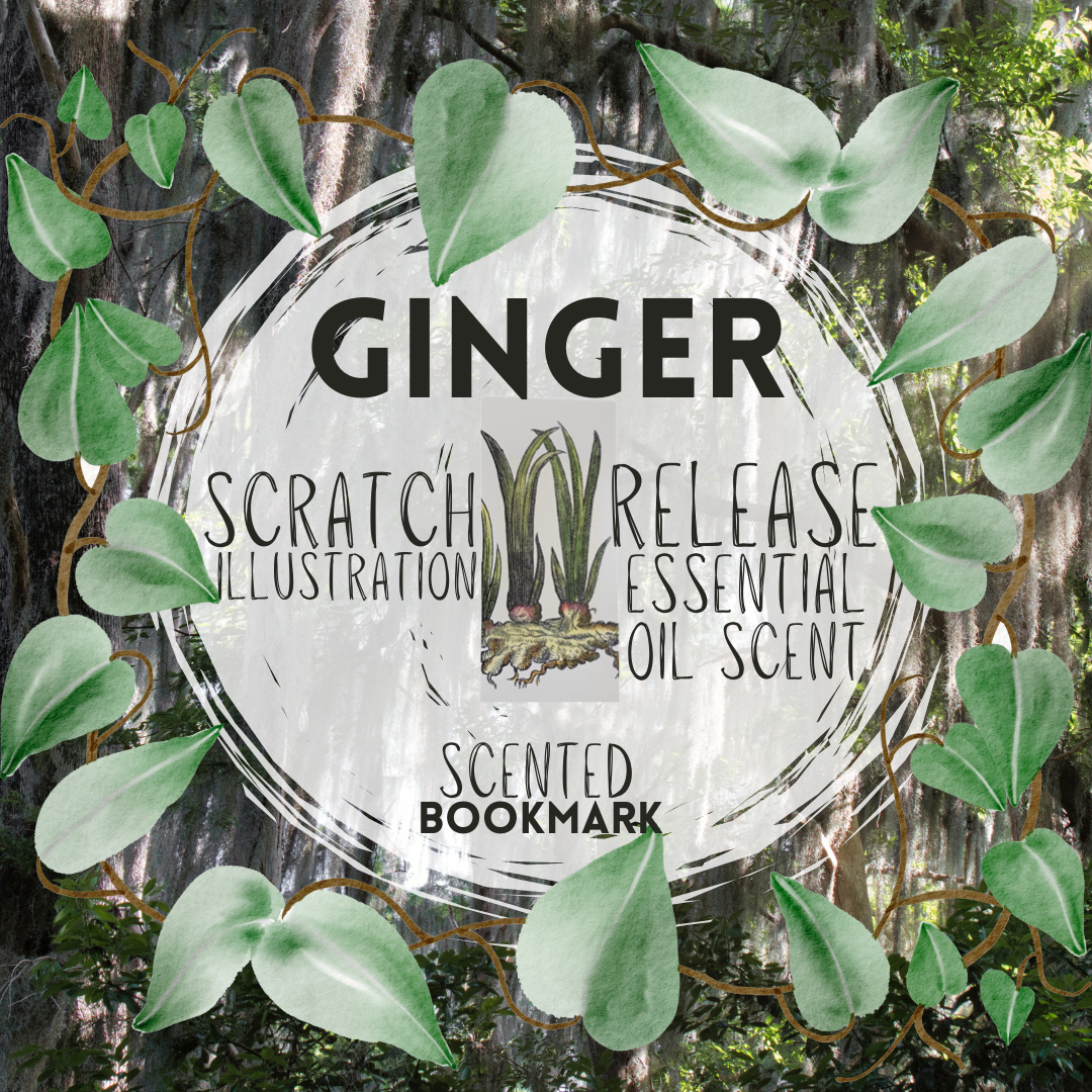 Biblioscents Ginger Scented Bookmark by Natural Perfumer Mandy Aftel of Aftelier Perfumes