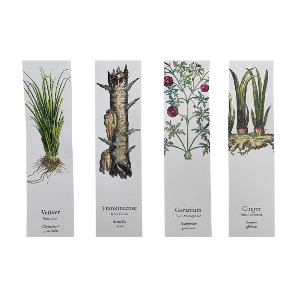 Biblioscents Set of 4 Frankincense, Ginger, Vetiver, Geranium Scented Bookmarks