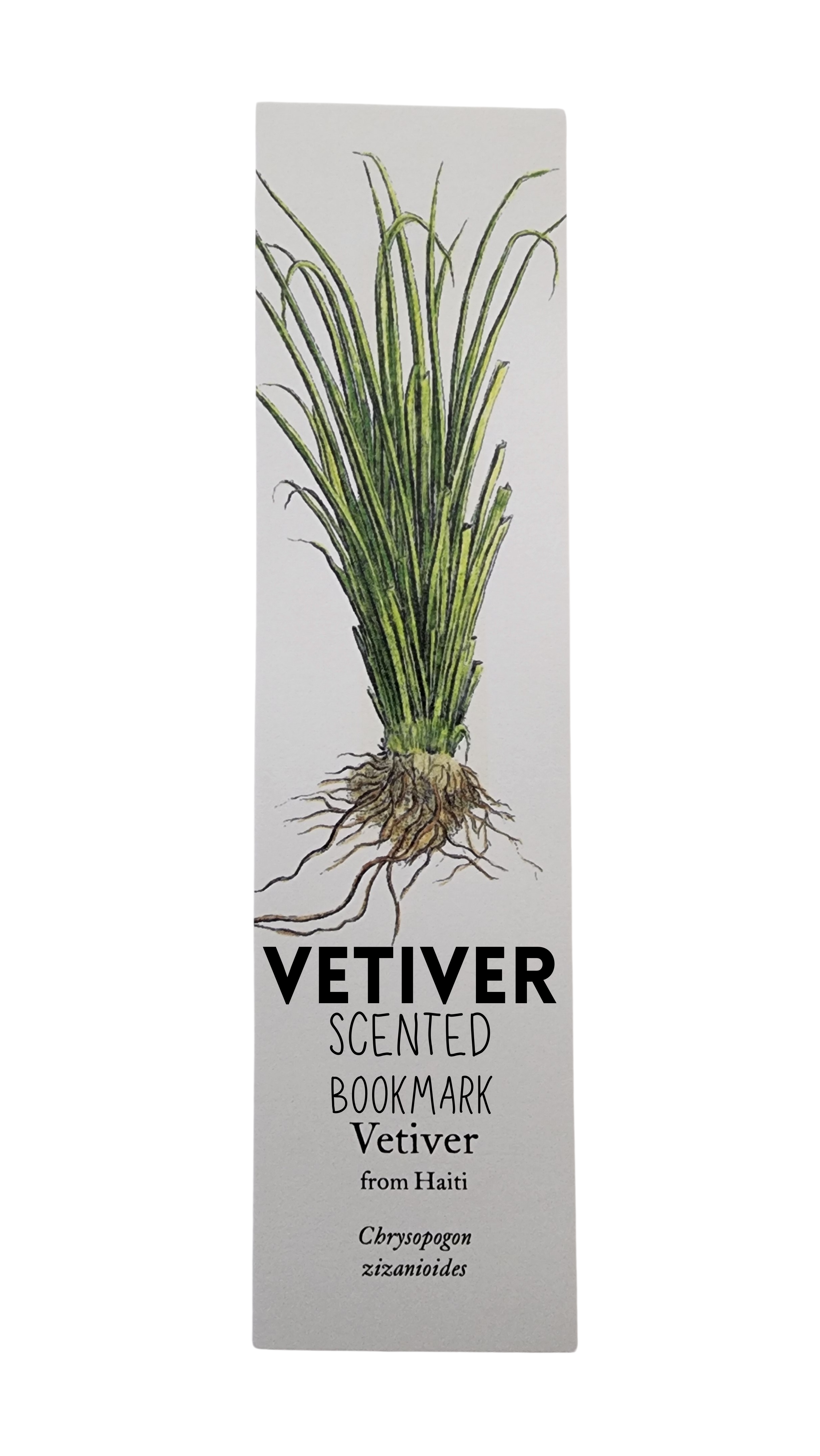 Biblioscents Vetiver Scented Bookmark by Natural Perfumer Mandy Aftel of Aftelier Perfumes